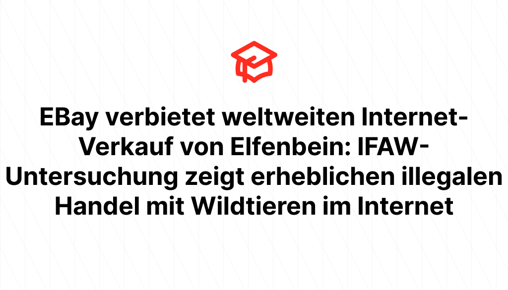 EBay verbietet weltweiten Internet-Verkauf von Elfenbein: IFAW-Untersuchung zeigt erheblichen illegalen Handel mit Wildtieren im Internet